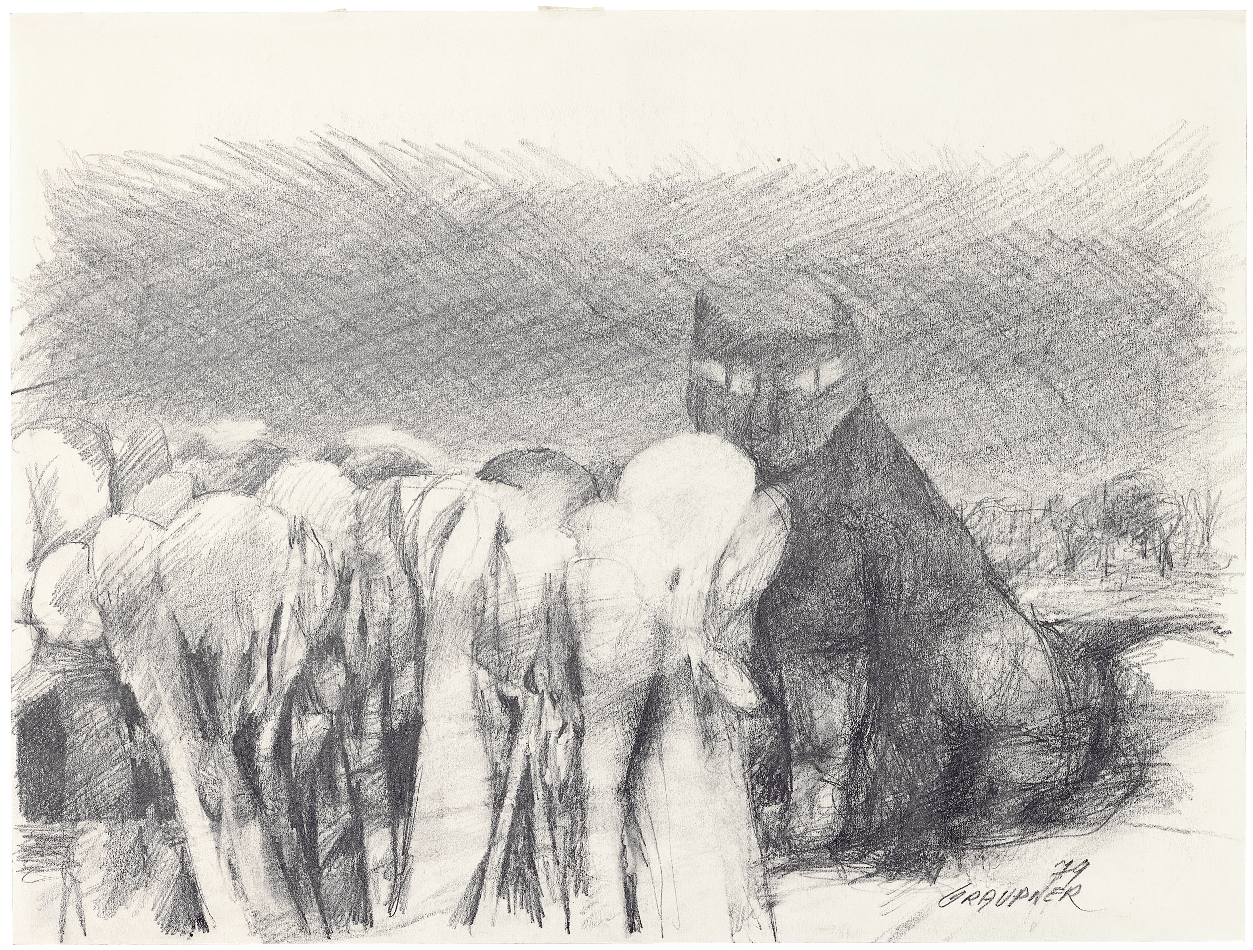 GraupnerLauerndeKatze